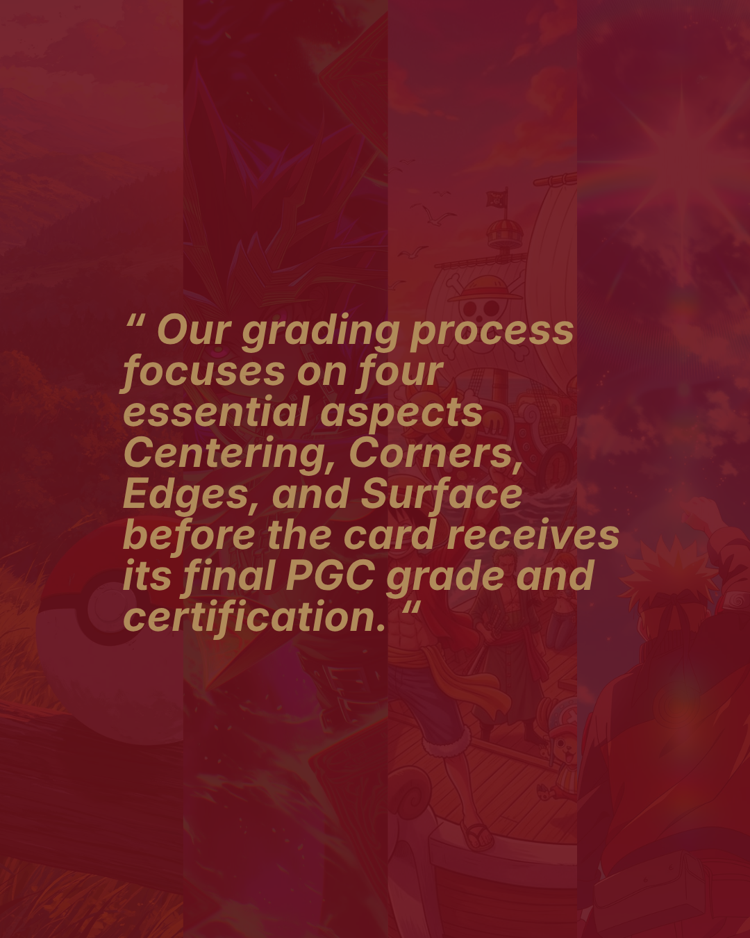 PHOENIX GRADING CARD_ (4)